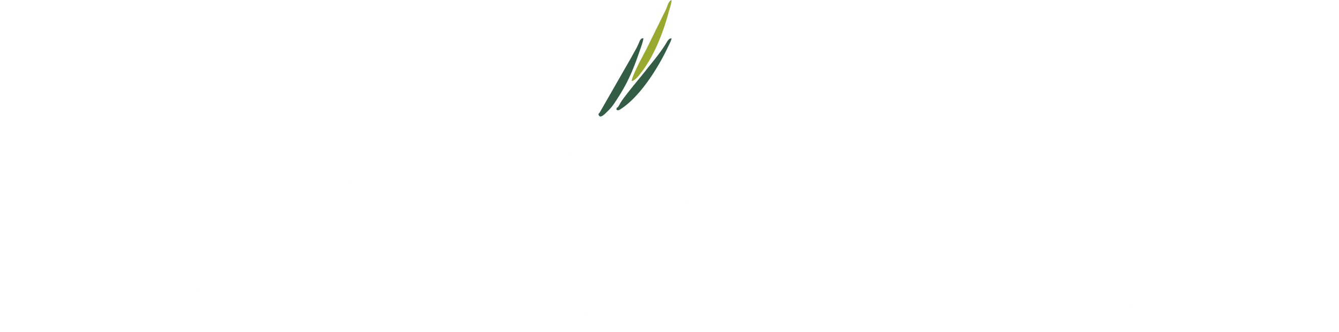 Meristem